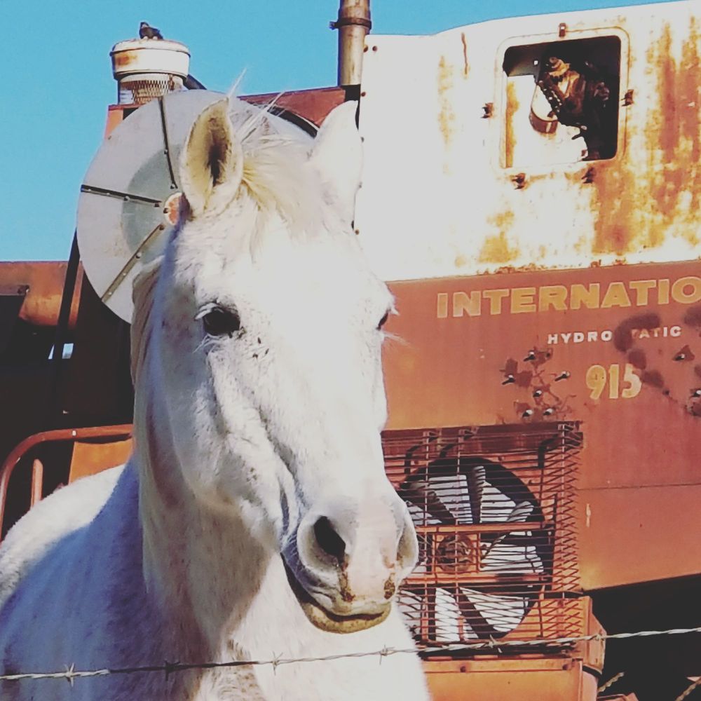 Loading Resort Image...